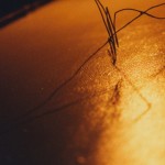 水、波紋、最初の音　water, ripple, a sound of beginning 1997